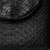 Python Python